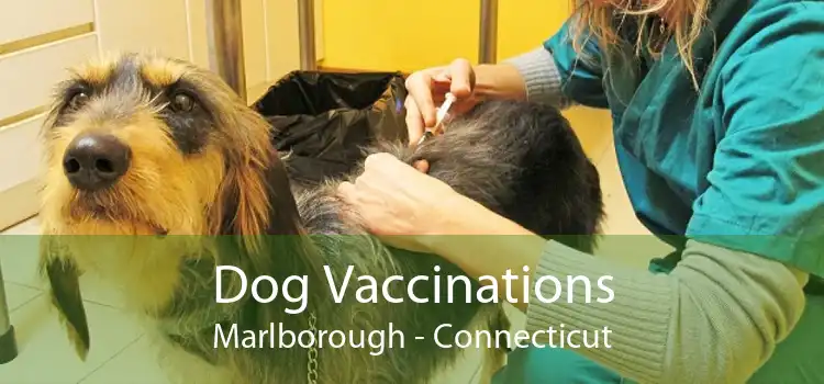 Dog Vaccinations Marlborough - Connecticut