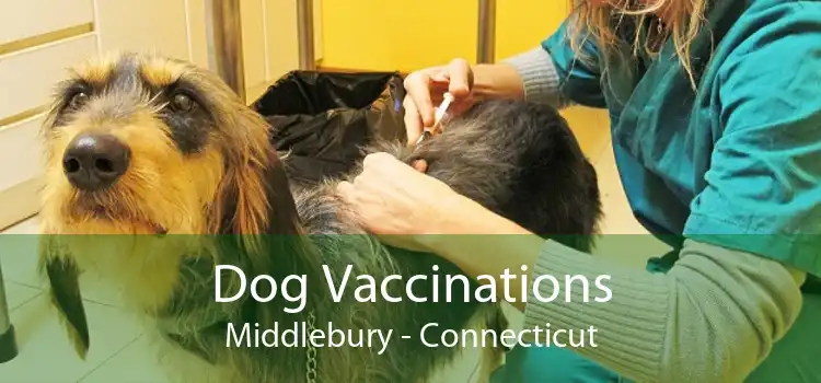 Dog Vaccinations Middlebury - Connecticut