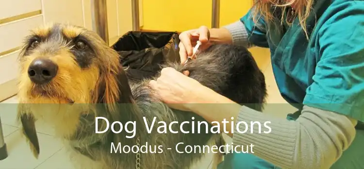 Dog Vaccinations Moodus - Connecticut