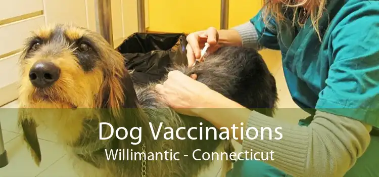 Dog Vaccinations Willimantic - Connecticut
