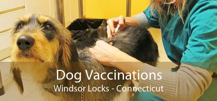 Dog Vaccinations Windsor Locks - Connecticut