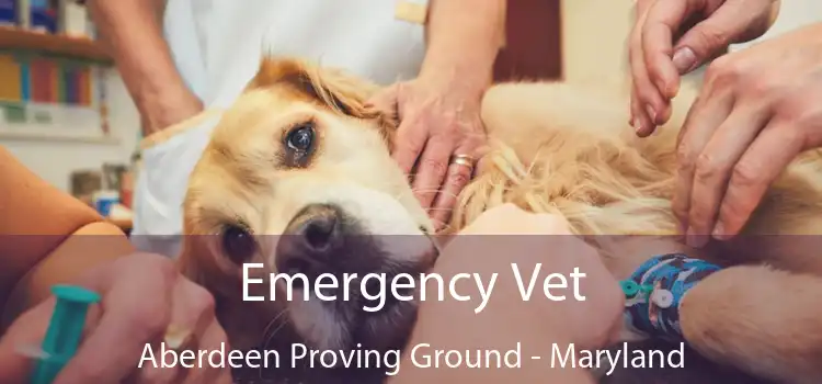 Emergency Vet Aberdeen Proving Ground - Maryland