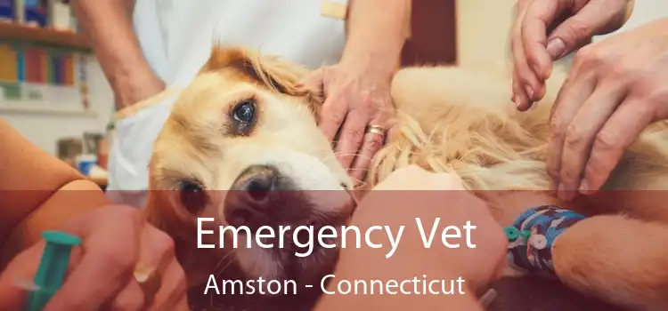 Emergency Vet Amston - Connecticut