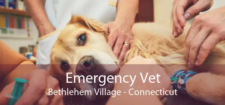 Emergency Vet Bethlehem Village - Connecticut