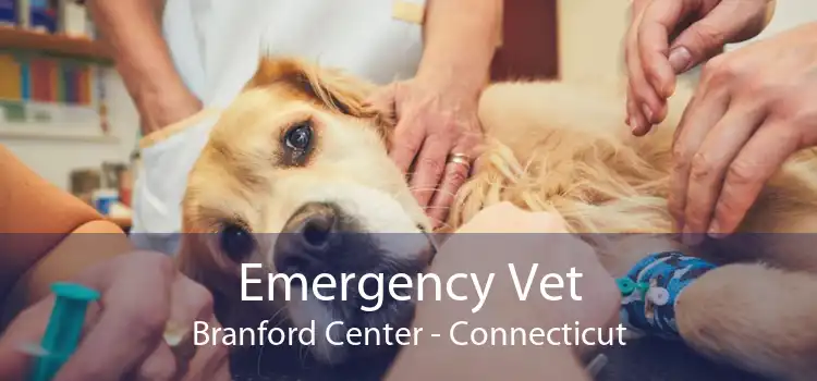Emergency Vet Branford Center - Connecticut