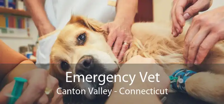 Emergency Vet Canton Valley - Connecticut