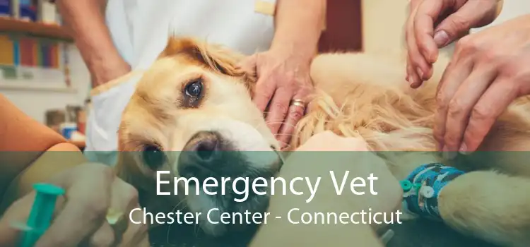 Emergency Vet Chester Center - Connecticut