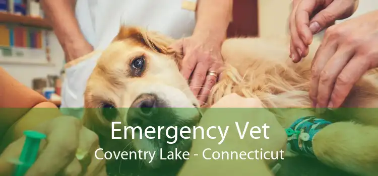 Emergency Vet Coventry Lake - Connecticut