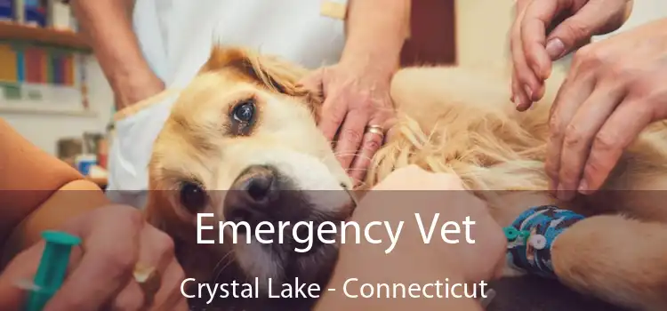 Emergency Vet Crystal Lake - Connecticut
