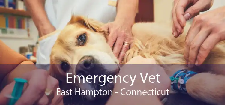 Emergency Vet East Hampton - Connecticut