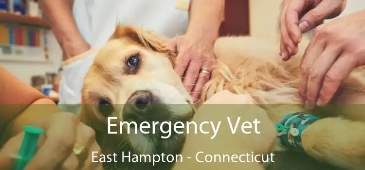 Emergency Vet East Hampton - Connecticut