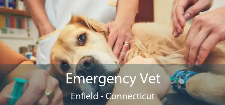Emergency Vet Enfield - Connecticut