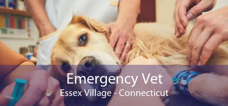 Emergency Vet Essex Village - Connecticut