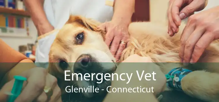 Emergency Vet Glenville - Connecticut