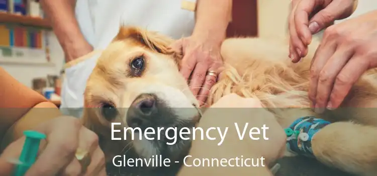 Emergency Vet Glenville - Connecticut