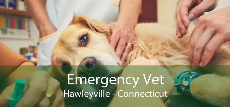 Emergency Vet Hawleyville - Connecticut