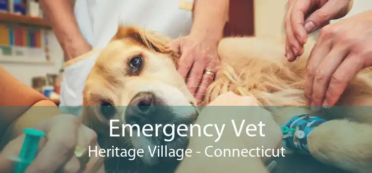 Emergency Vet Heritage Village - Connecticut