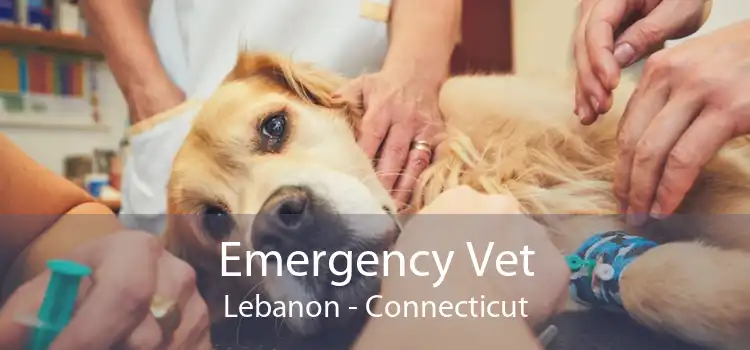 Emergency Vet Lebanon - Connecticut