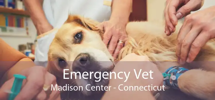Emergency Vet Madison Center - Connecticut