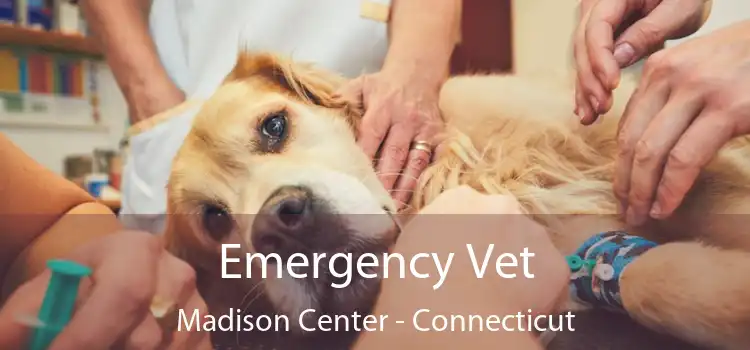 Emergency Vet Madison Center - Connecticut