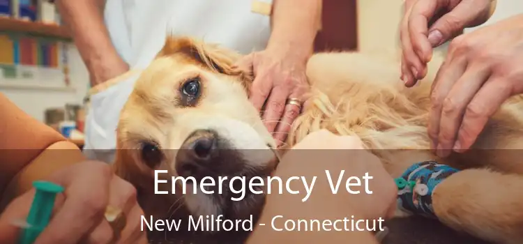 Emergency Vet New Milford - Connecticut
