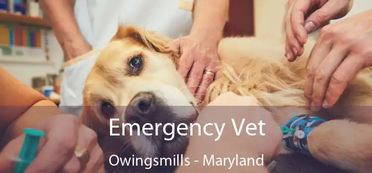 Emergency Vet Owingsmills - Maryland