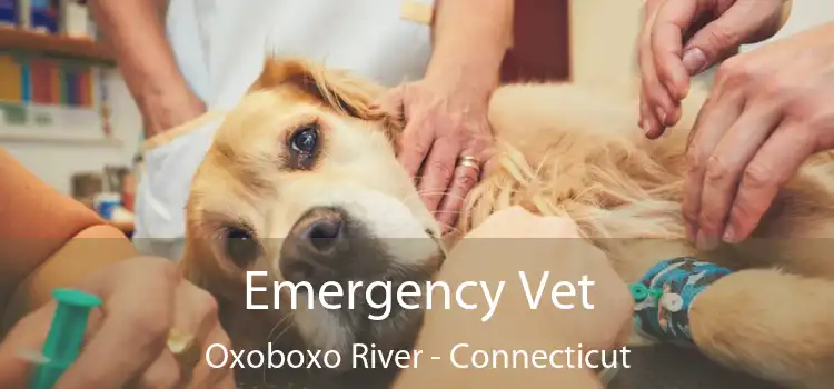 Emergency Vet Oxoboxo River - Connecticut