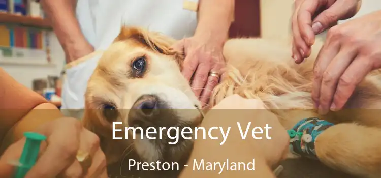 Emergency Vet Preston - Maryland