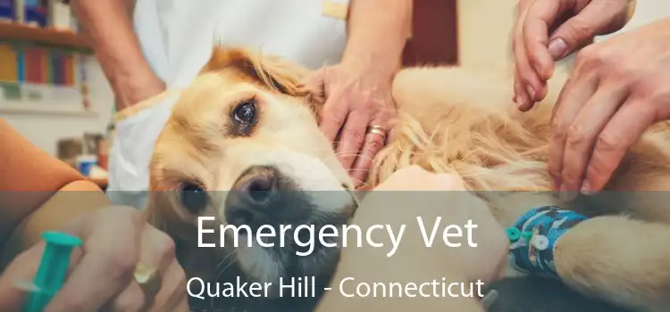 Emergency Vet Quaker Hill - Connecticut