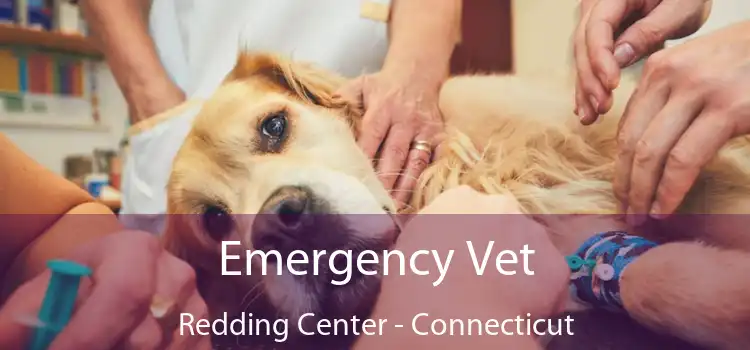 Emergency Vet Redding Center - Connecticut