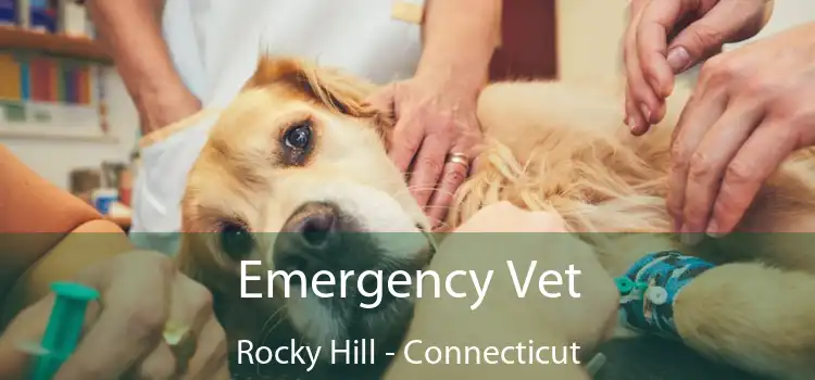Emergency Vet Rocky Hill - Connecticut