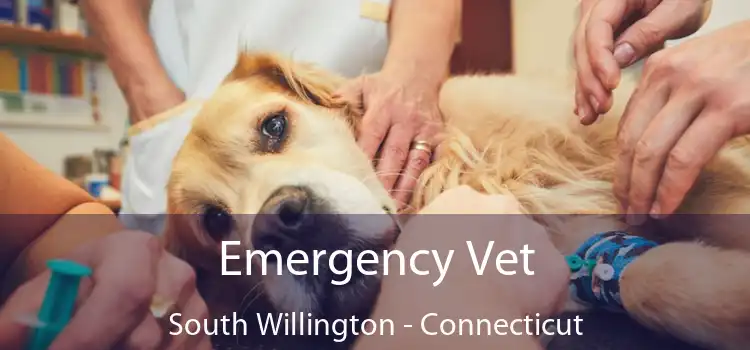 Emergency Vet South Willington - Connecticut