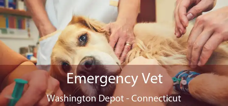 Emergency Vet Washington Depot - Connecticut