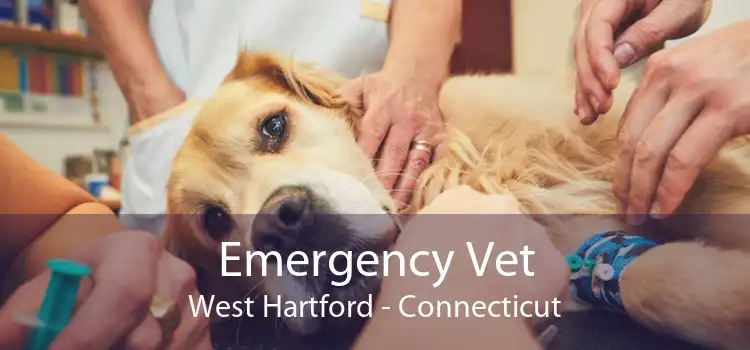Emergency Vet West Hartford - Connecticut