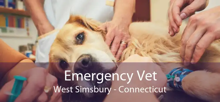 Emergency Vet West Simsbury - Connecticut