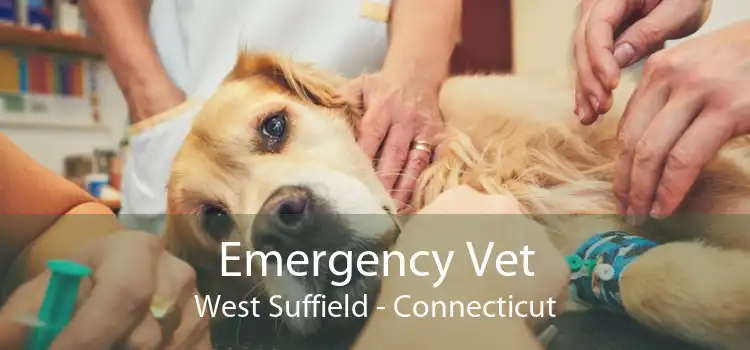 Emergency Vet West Suffield - Connecticut