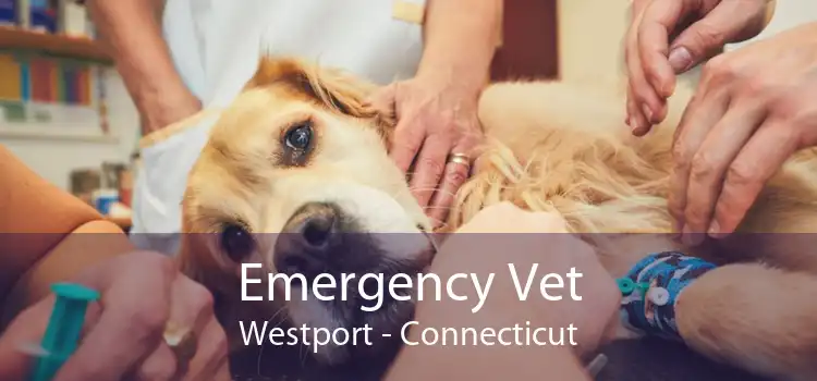 Emergency Vet Westport - Connecticut