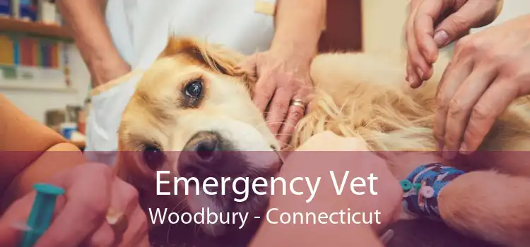 Emergency Vet Woodbury - Connecticut
