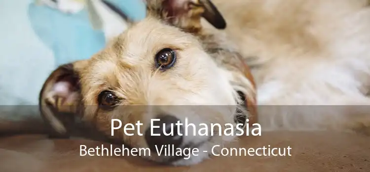 Pet Euthanasia Bethlehem Village - Connecticut