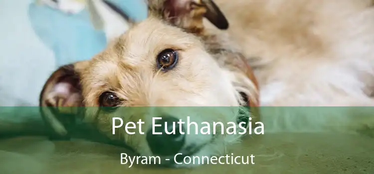 Pet Euthanasia Byram - Connecticut