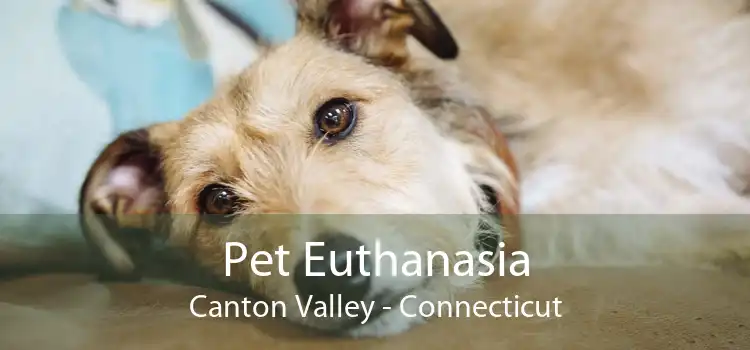 Pet Euthanasia Canton Valley - Connecticut