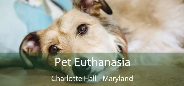 Pet Euthanasia Charlotte Hall - Maryland