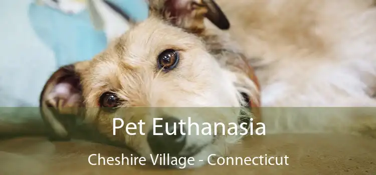Pet Euthanasia Cheshire Village - Connecticut