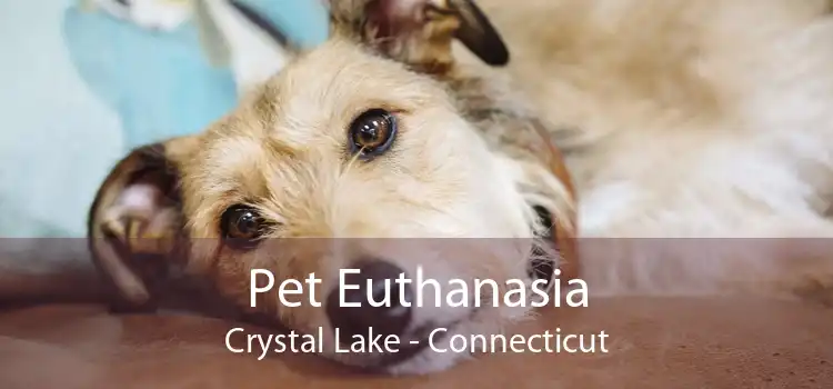 Pet Euthanasia Crystal Lake - Connecticut