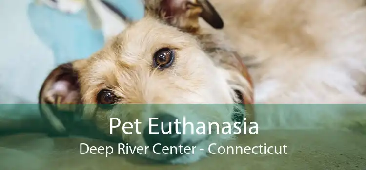 Pet Euthanasia Deep River Center - Connecticut