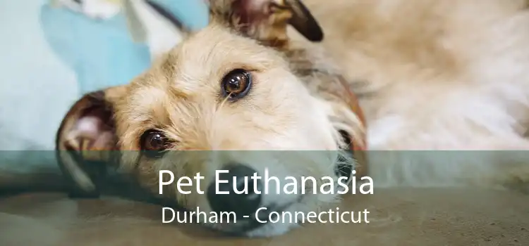 Pet Euthanasia Durham - Connecticut