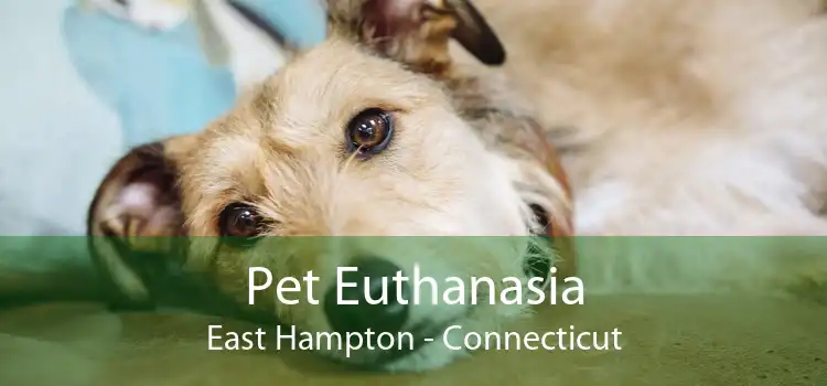 Pet Euthanasia East Hampton - Connecticut