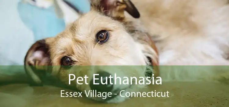 Pet Euthanasia Essex Village - Connecticut