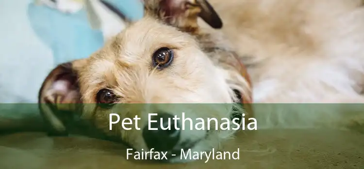Pet Euthanasia Fairfax - Maryland
