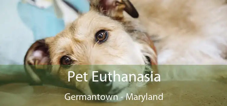 Pet Euthanasia Germantown - Maryland
